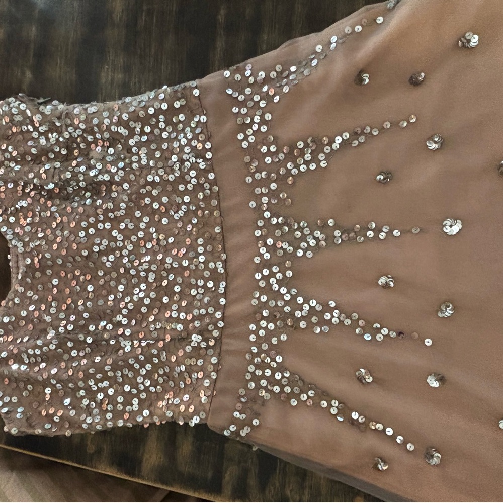 Lux Sequin Embellished Dress in Taupe